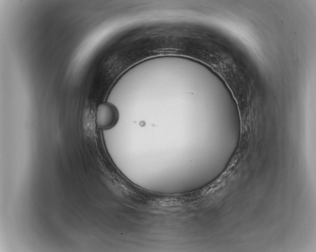 X0000110730146200906121455