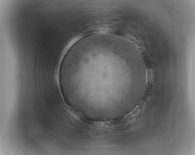 X0000110730147200906121455