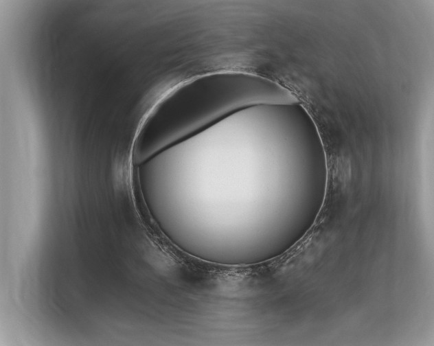X0000110730148200906121455