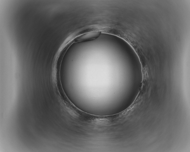 X0000110730150200906121455