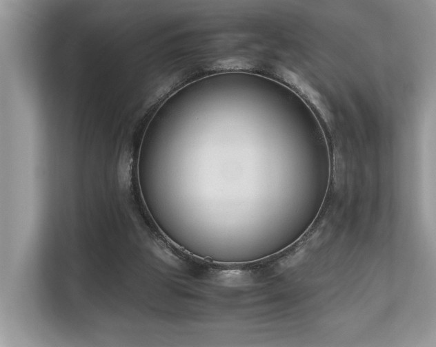 X0000110730153200906121455