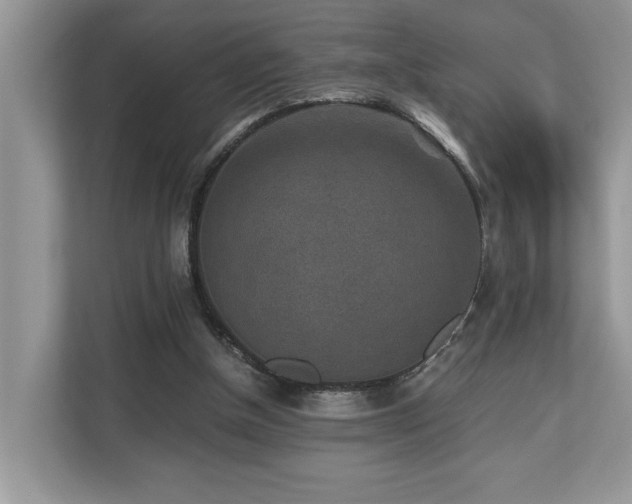 X0000110730154200906121455