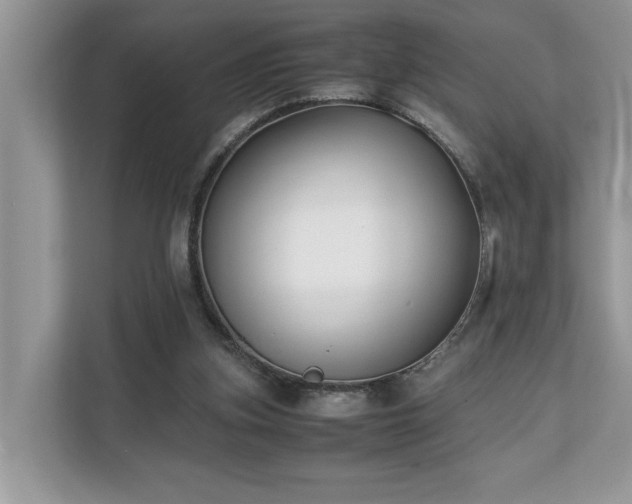 X0000110730155200906121455