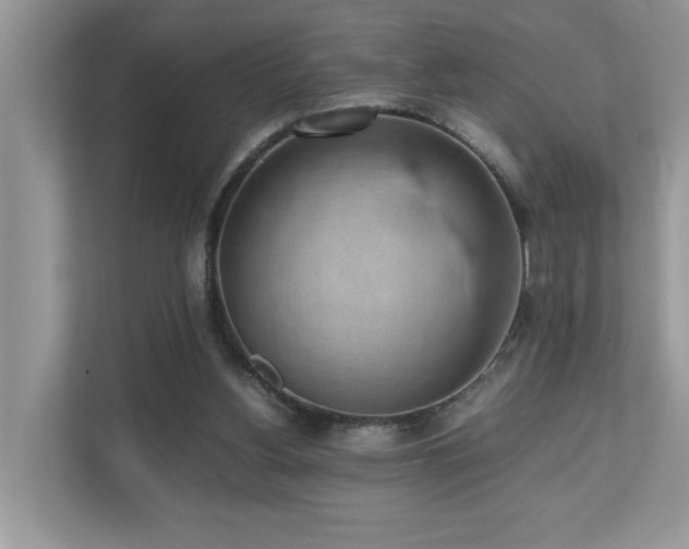 X0000110730156200906121455