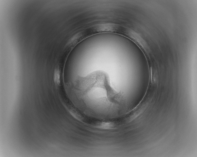 X0000110730157200906121455