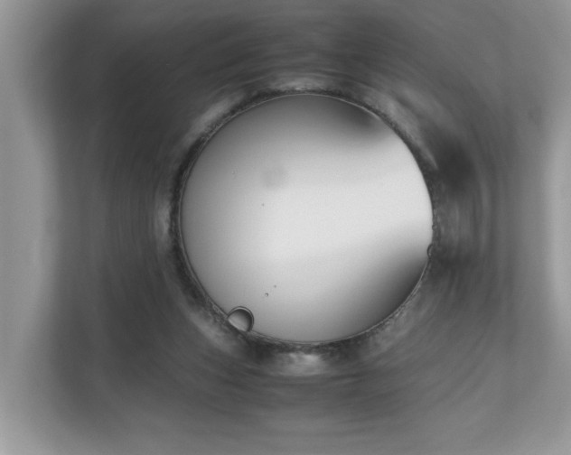 X0000110730159200906121455