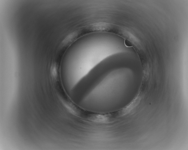 X0000110730166200906121455