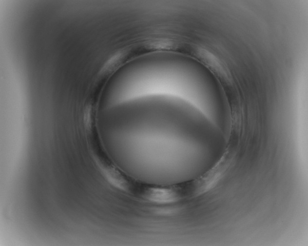 X0000110730167200906121455