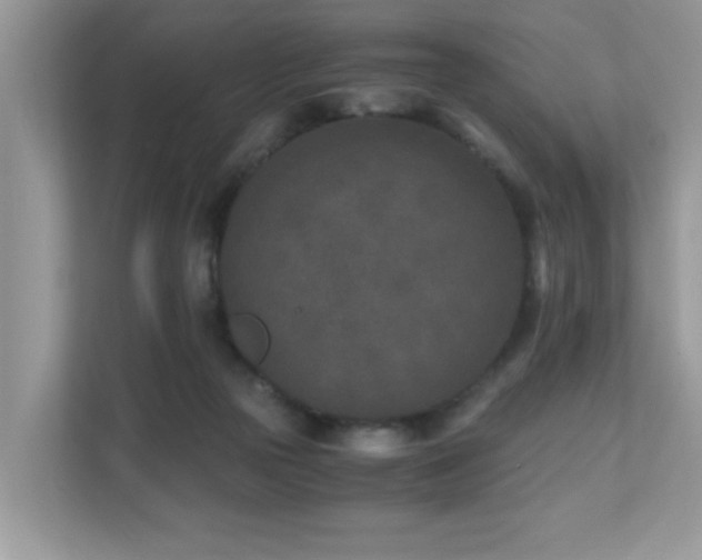 X0000110730169200906121455