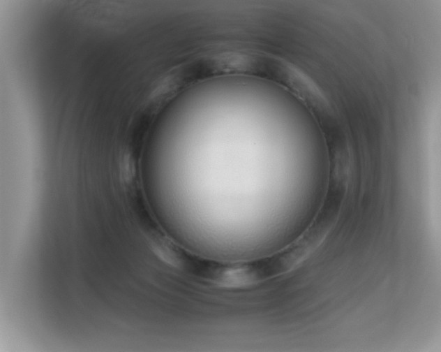 X0000110730173200906121455