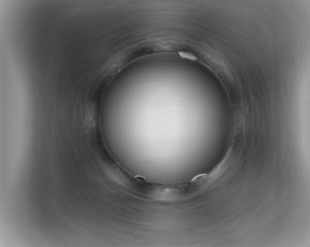 X0000110730174200906121455