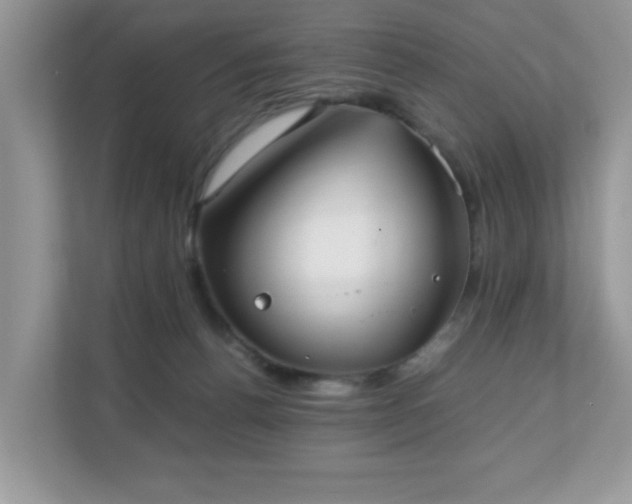 X0000110730176200906121455
