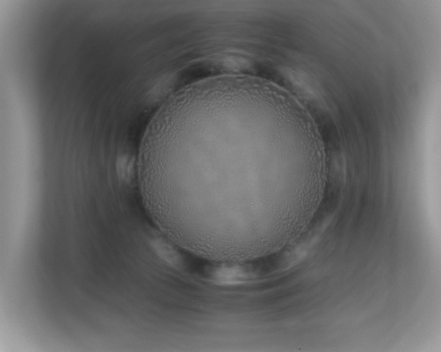 X0000110730177200906121455