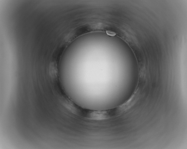 X0000110730179200906121456