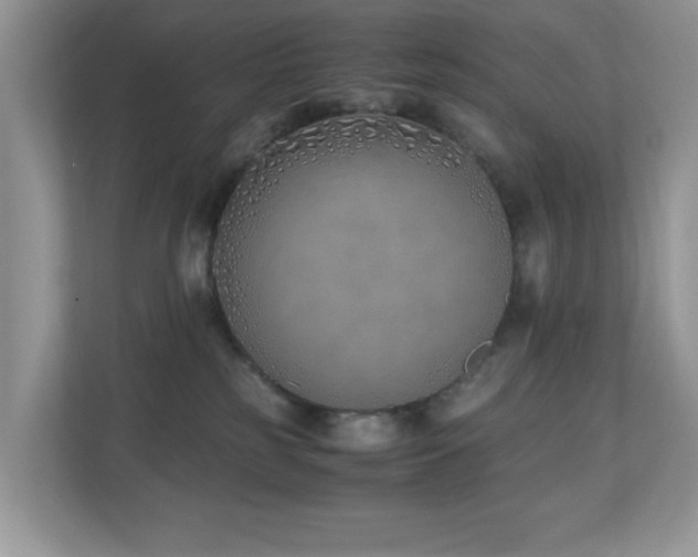 X0000110730185200906121456