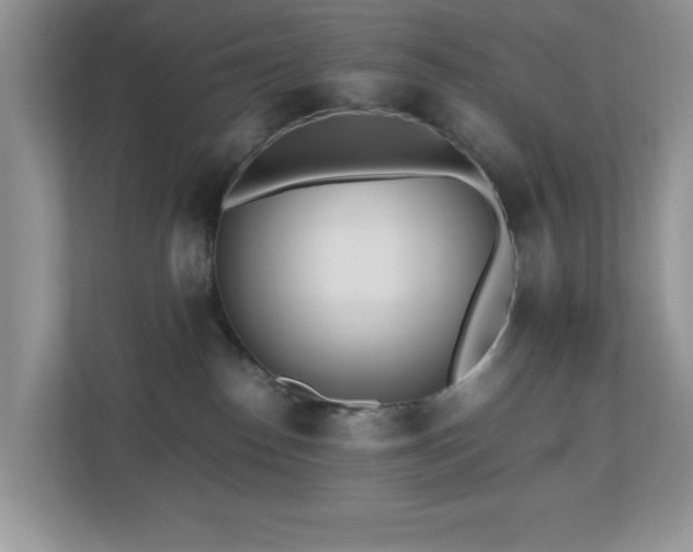X0000110730186200906121456