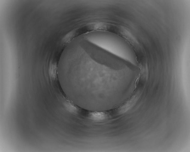 X0000110730189200906121456