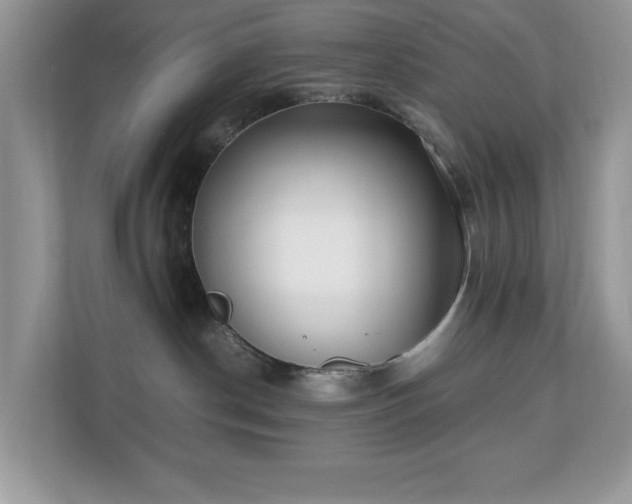 X0000110730190200906121456