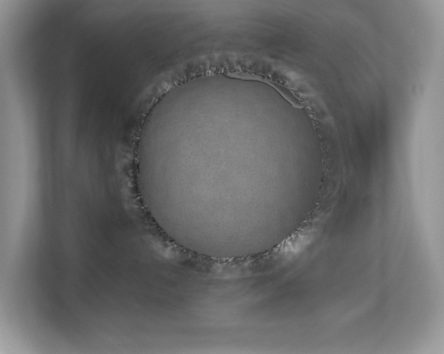 X0000110730192200906121456