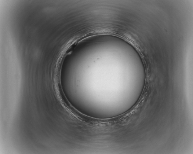 X0000110730193200906121455