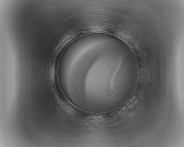 X0000110730194200906121455