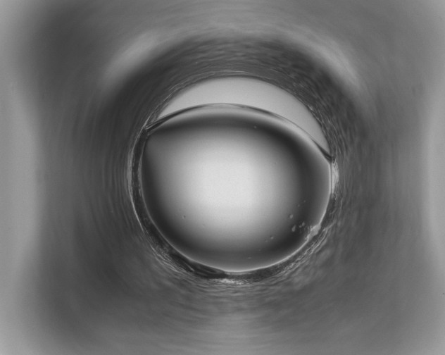 X0000110730195200906121455