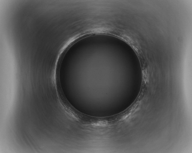 X0000110730196200906121455