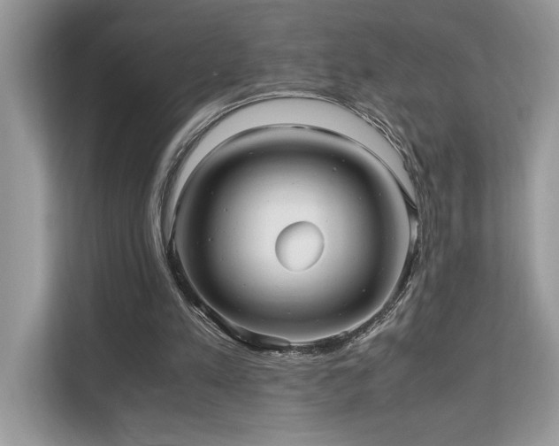 X0000110730197200906121455