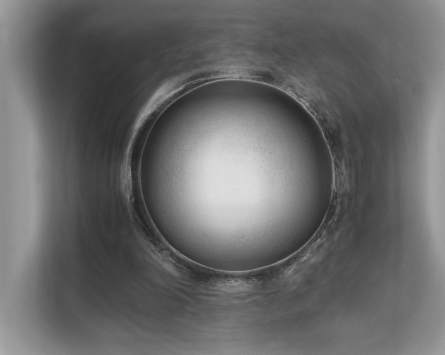 X0000110730198200906121455