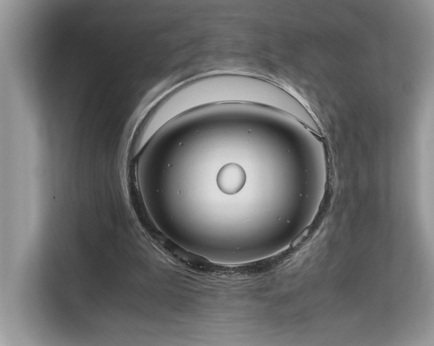X0000110730199200906121455