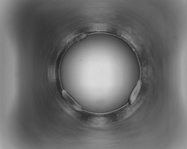 X0000110730203200906121455