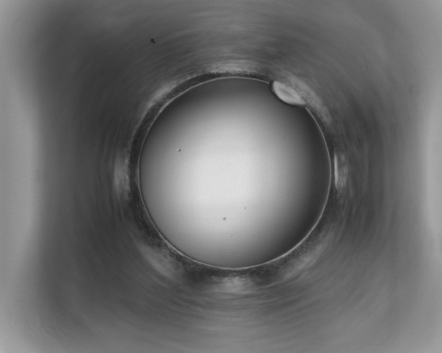 X0000110730204200906121455