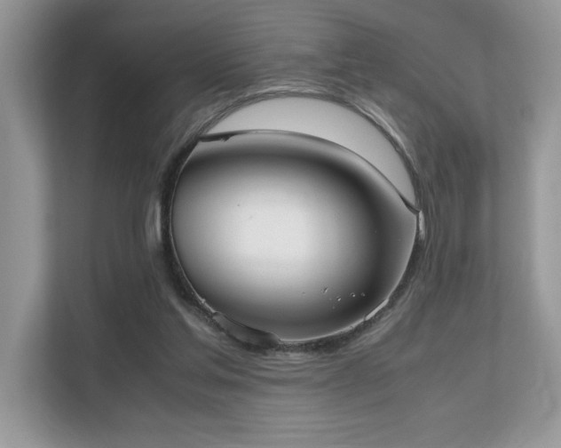 X0000110730205200906121455