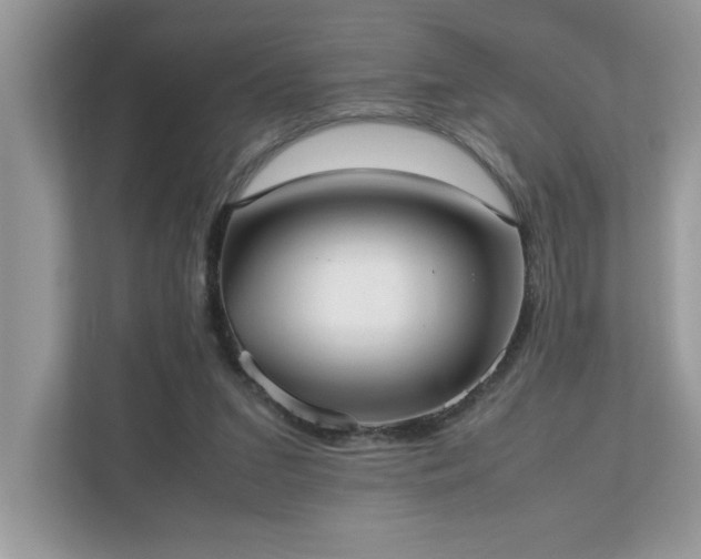 X0000110730207200906121455