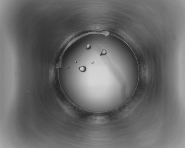 X0000110730208200906121455