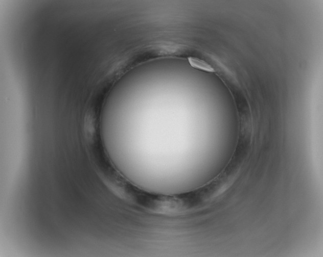 X0000110730215200906121455