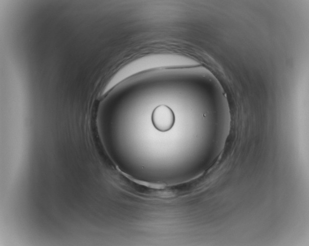 X0000110730217200906121455