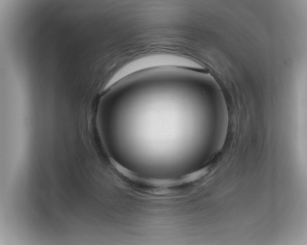 X0000110730219200906121455