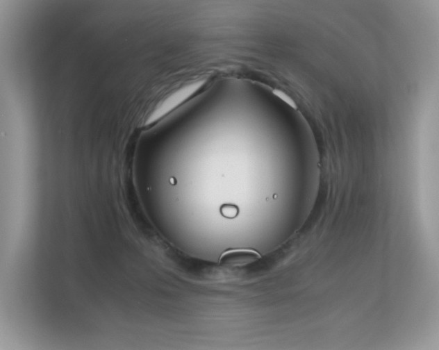 X0000110730223200906121455