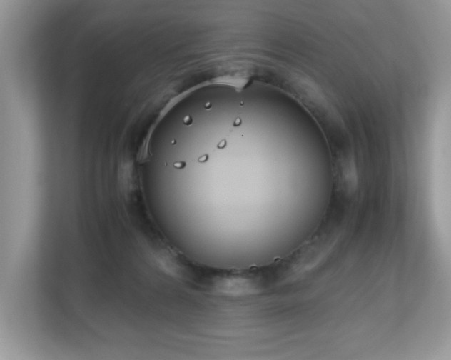 X0000110730224200906121455