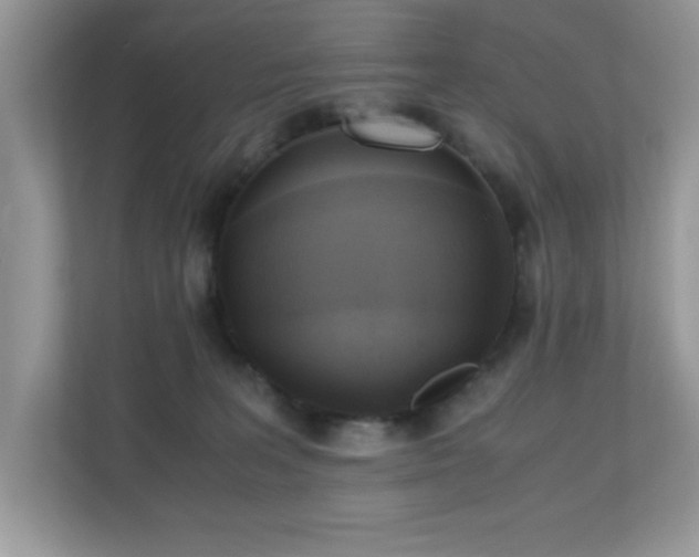 X0000110730227200906121455