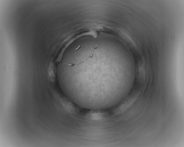 X0000110730228200906121455