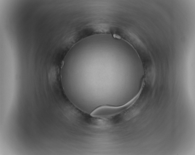 X0000110730229200906121455