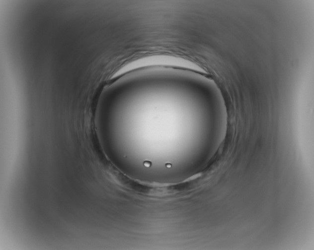 X0000110730231200906121455