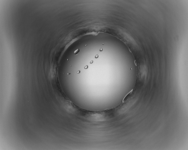 X0000110730236200906121454