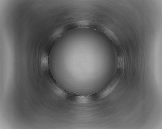 X0000110730238200906121454