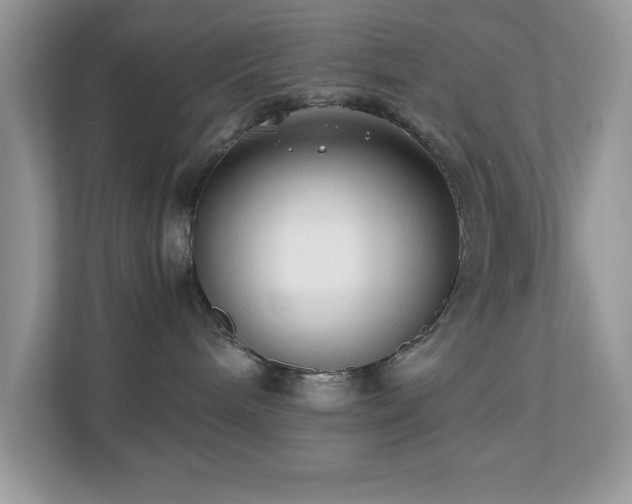 X0000110730240200906121454