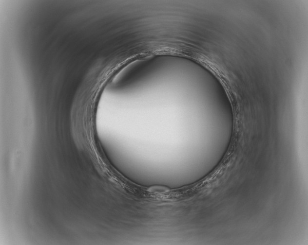 X0000110730241200906121454