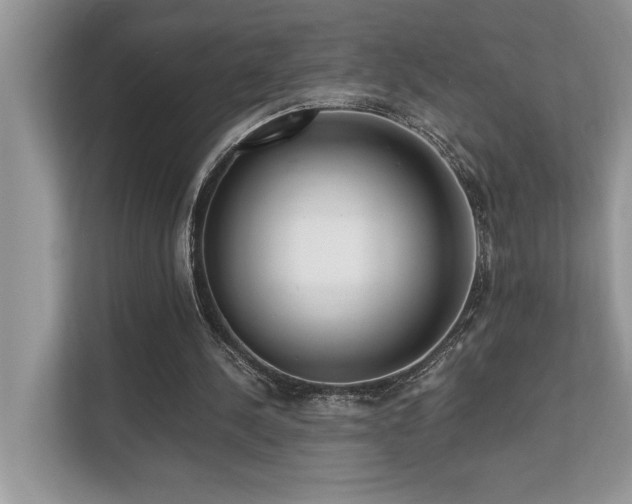X0000110730244200906121454