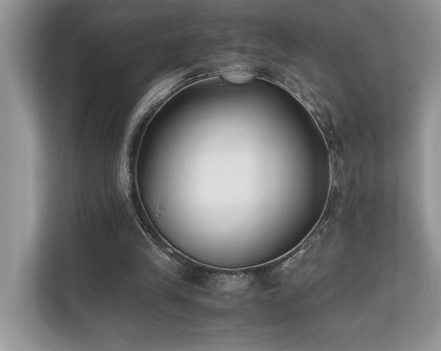 X0000110730245200906121454